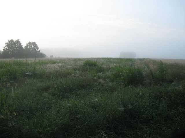 Działka rolna Mirocin Dolny. Zdjęcie 1