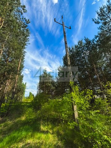 Działka budowlana Zalesie. Zdjęcie 4