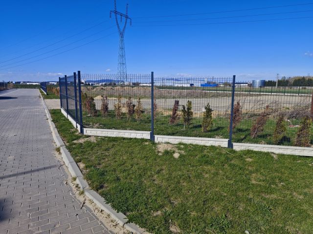 Działka budowlana Pieszyce, ul. Tadeusza Kościuszki. Zdjęcie 1