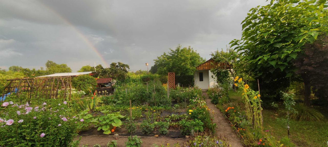Działka rekreacyjna Opole