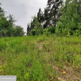 Działka budowlana Nowe Miasto Lubawskie Kornatki. Zdjęcie 3