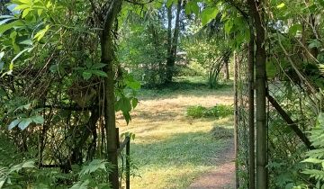 Działka rekreacyjna Kamieńczyk