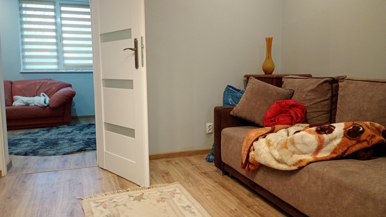 bliźniak, 2 pokoje Modrolas. Zdjęcie 8