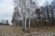 Działka rolno-budowlana Gawartowa Wola. Zdjęcie 1