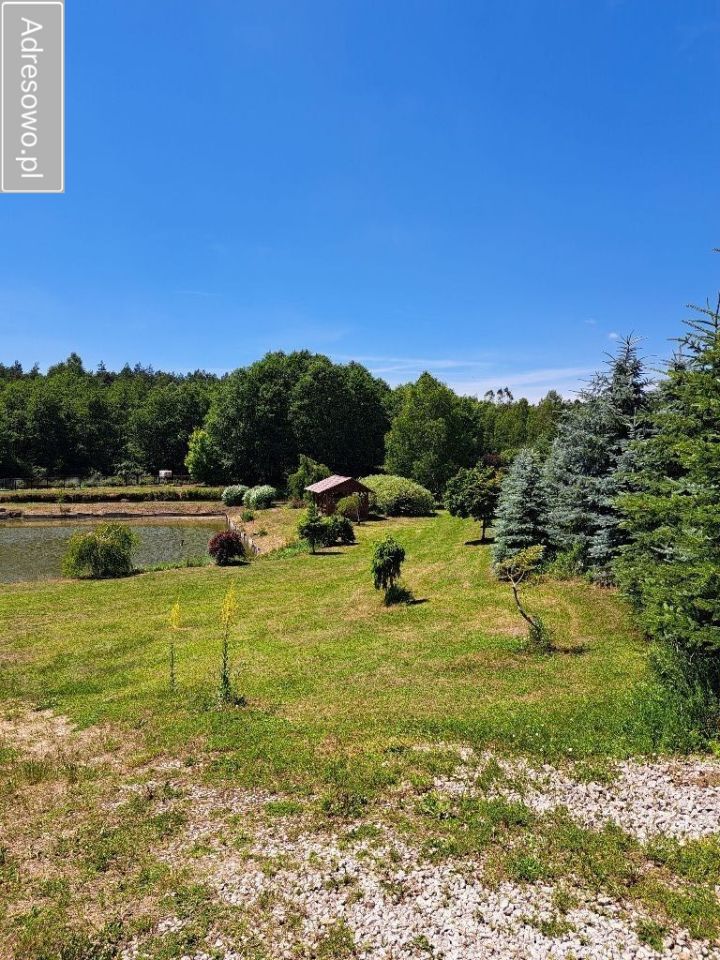 Działka budowlana Wólka Żabna. Zdjęcie 3