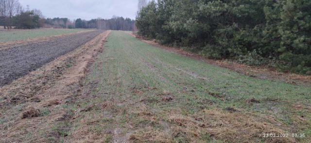 Działka rolna Ignacówka Bobrowska. Zdjęcie 1