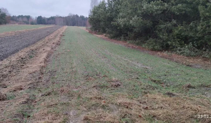 Działka rolna Ignacówka Bobrowska