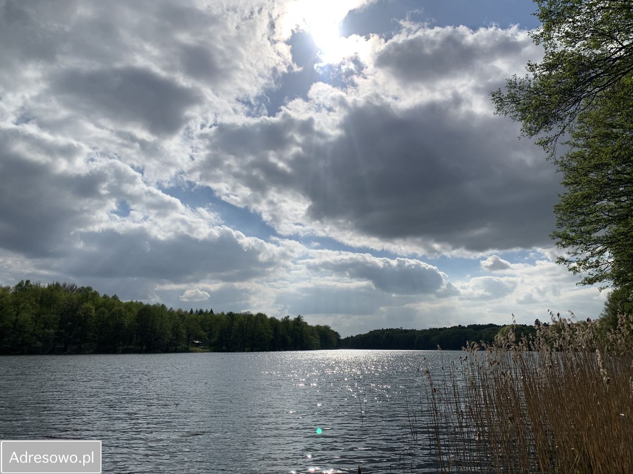 Działka budowlana Miałka. Zdjęcie 8