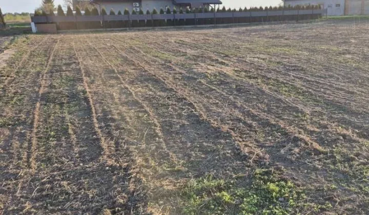 Działka budowlana Cekanowo, ul. Królewska