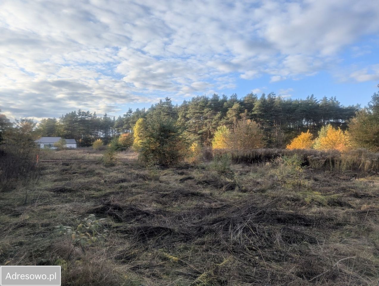 Działka budowlana Żółwin, ul. Tiulowa. Zdjęcie 2