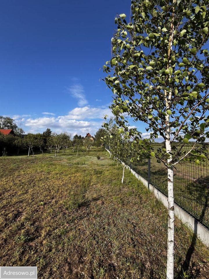 dom wolnostojący, 3 pokoje Zynie. Zdjęcie 16