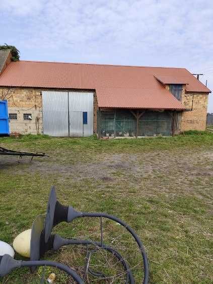 Działka rolno-budowlana Lgiń. Zdjęcie 2