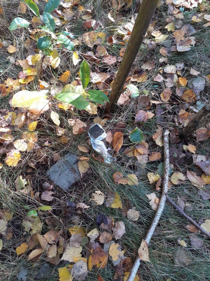 Działka rolna Krępica. Zdjęcie 6