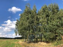 Działka siedliskowa Gołąb. Zdjęcie 4