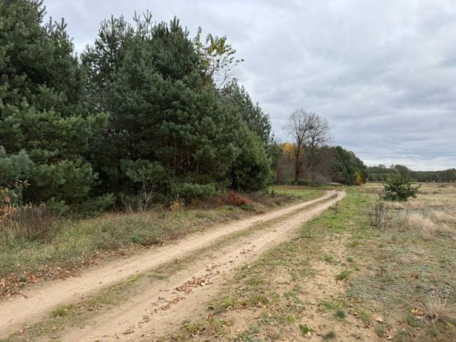 Działka rolno-budowlana Choinek. Zdjęcie 10