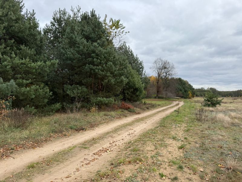 Działka rolno-budowlana Choinek. Zdjęcie 10