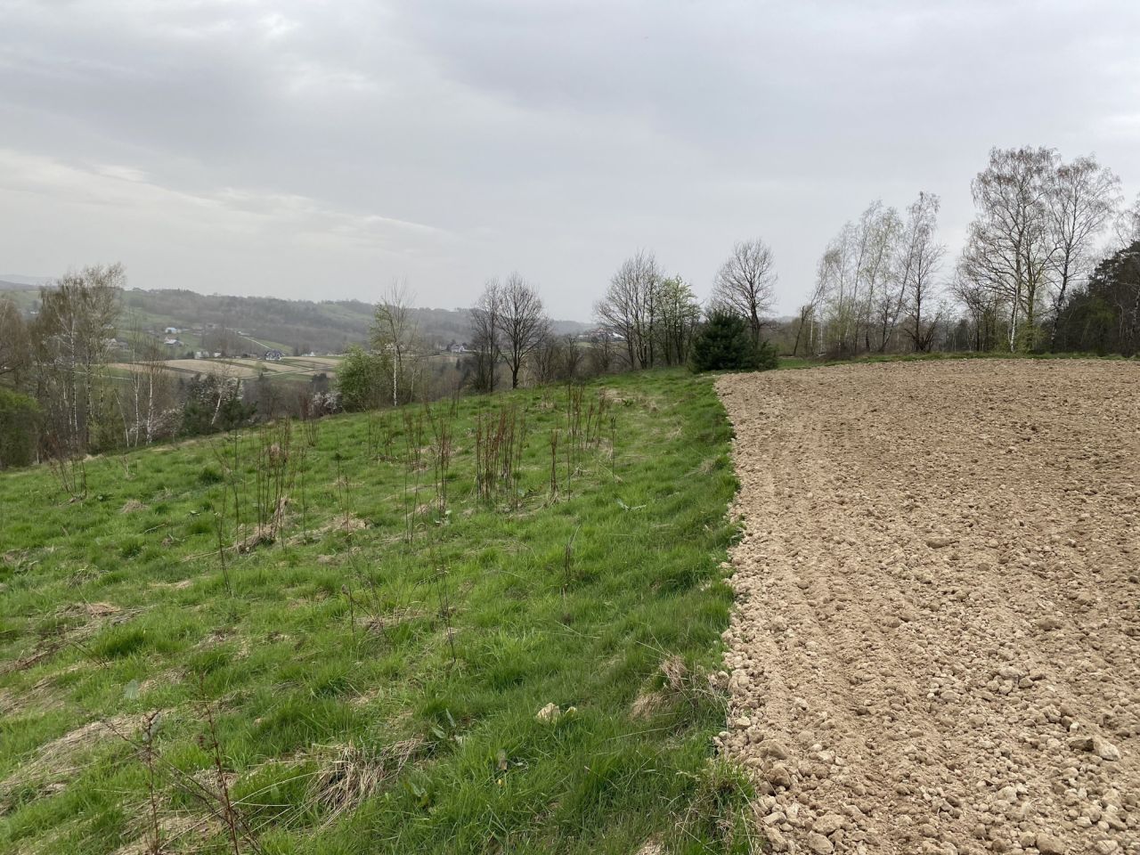 Działka rolna Lipnica Górna Wymyślna. Zdjęcie 5