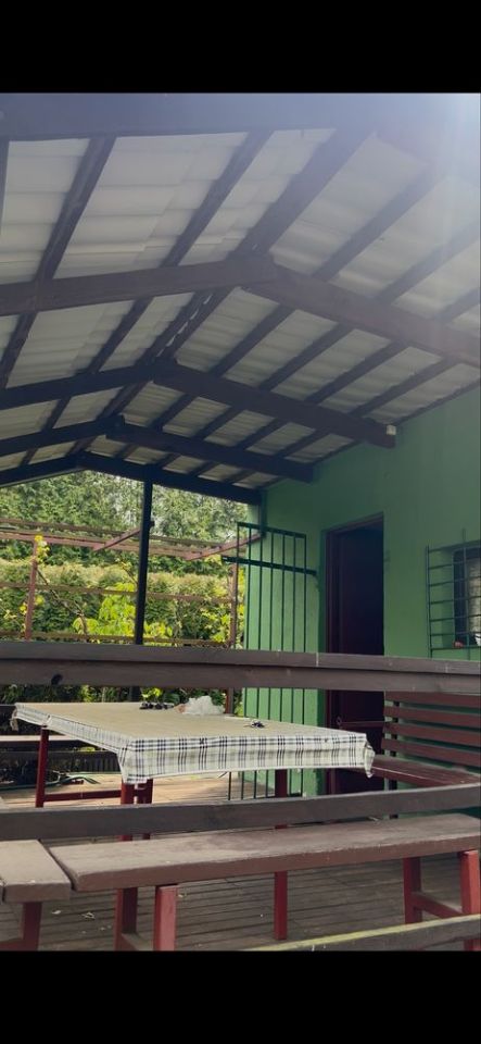 Działka rod Toruń. Zdjęcie 3