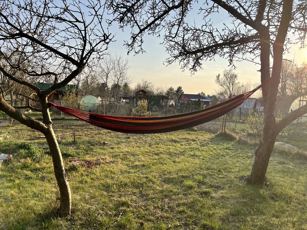 Działka rod Wrocław Psie Pole. Zdjęcie 2