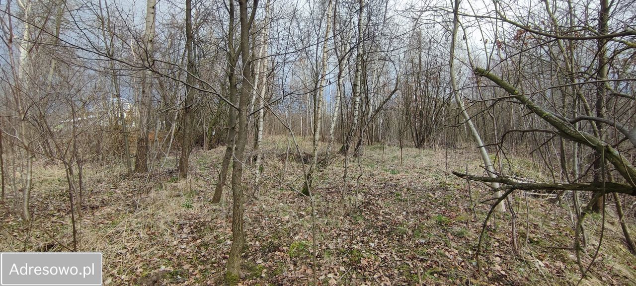 Działka budowlana Łukawka. Zdjęcie 1