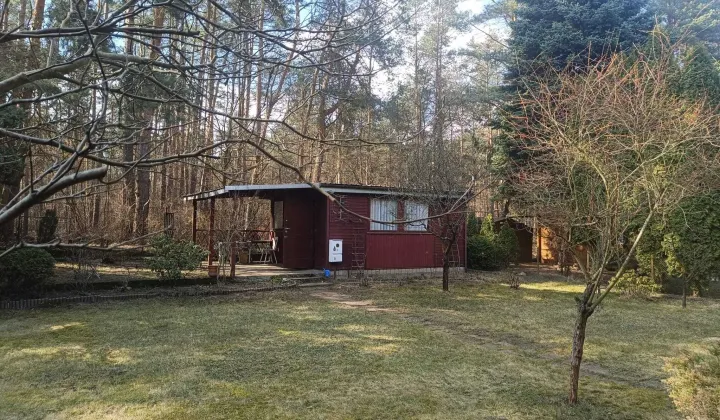 Działka rod Walendów, ul. Brzozowa