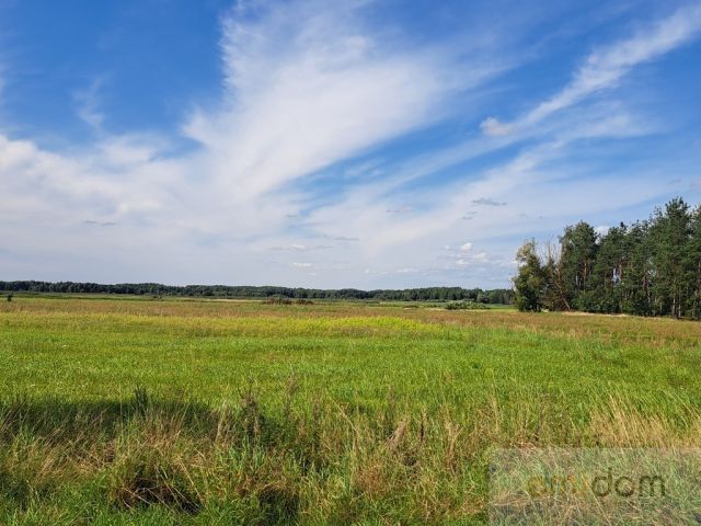 Działka inwestycyjna Szafranki. Zdjęcie 25
