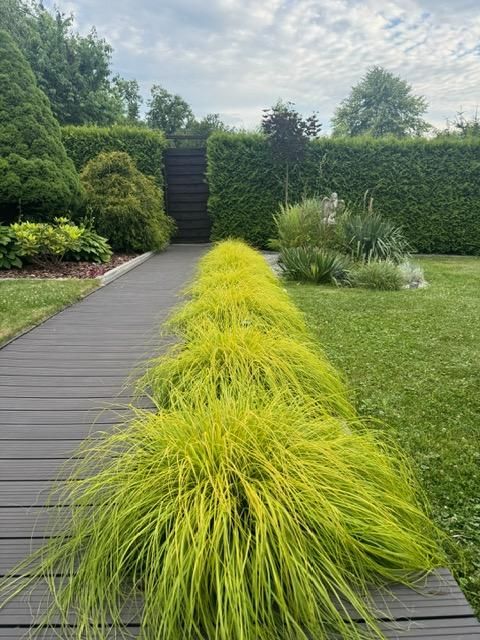Działka rod Nowy Sącz Falkowa, ul. Botaniczna. Zdjęcie 18