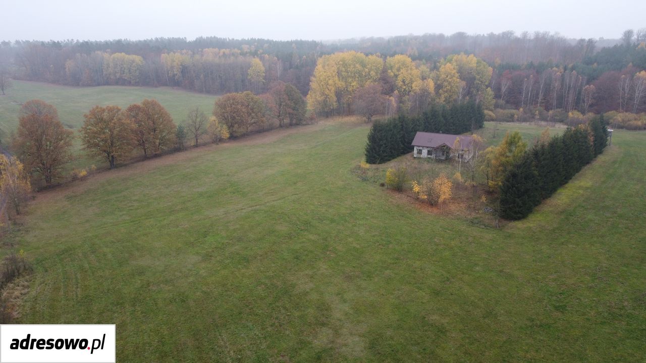 Działka budowlana Mosina. Zdjęcie 3