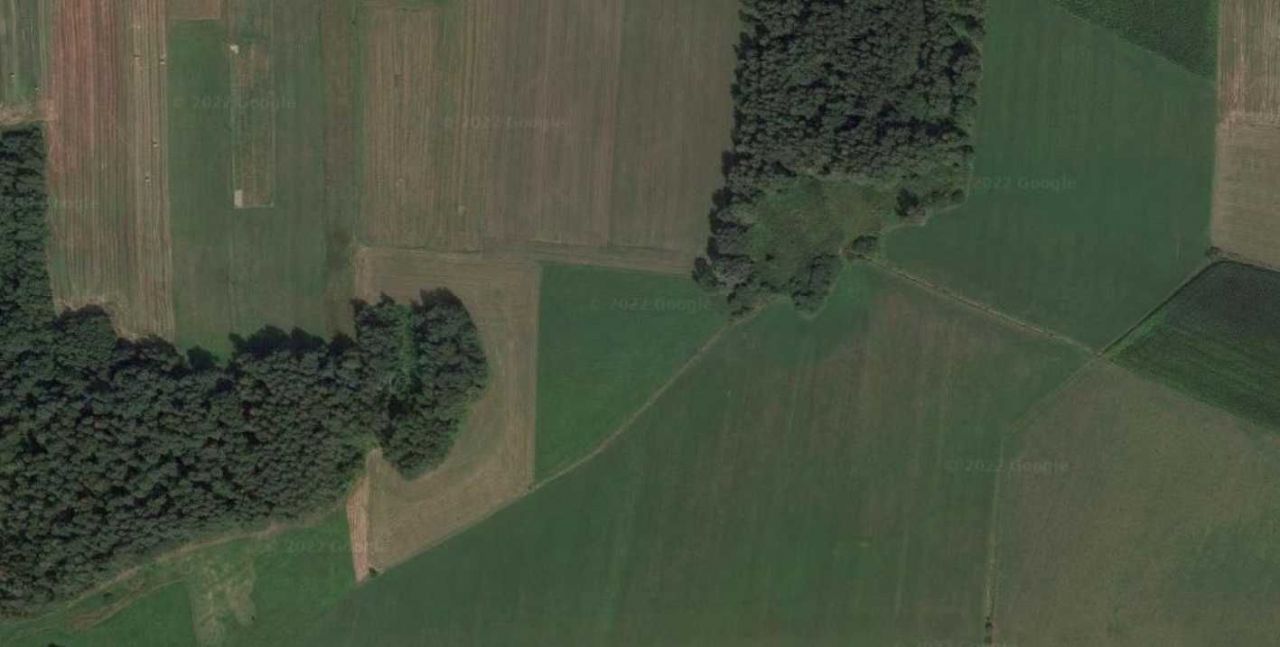 Działka rolna Piliki. Zdjęcie 3