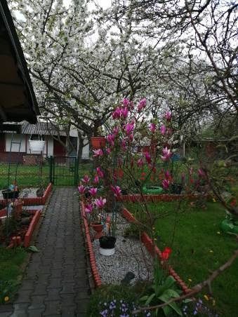 Działka rekreacyjna Piotrków Trybunalski