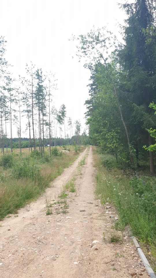 Działka rolna Wigrańce. Zdjęcie 7