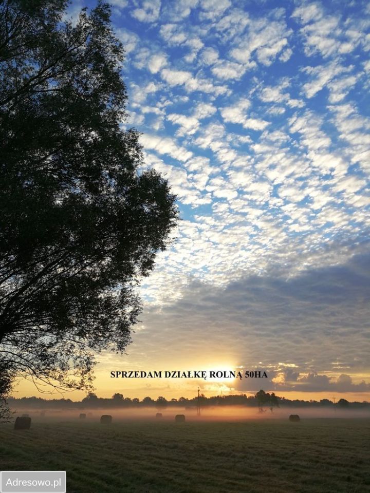 Działka rolna Olszowiec. Zdjęcie 5