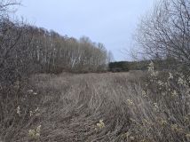 Działka rolno-budowlana Brzozówka, ul. Wierzbowa. Zdjęcie 3