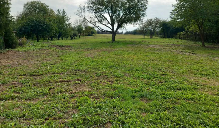 Działka rolna Kobierniki