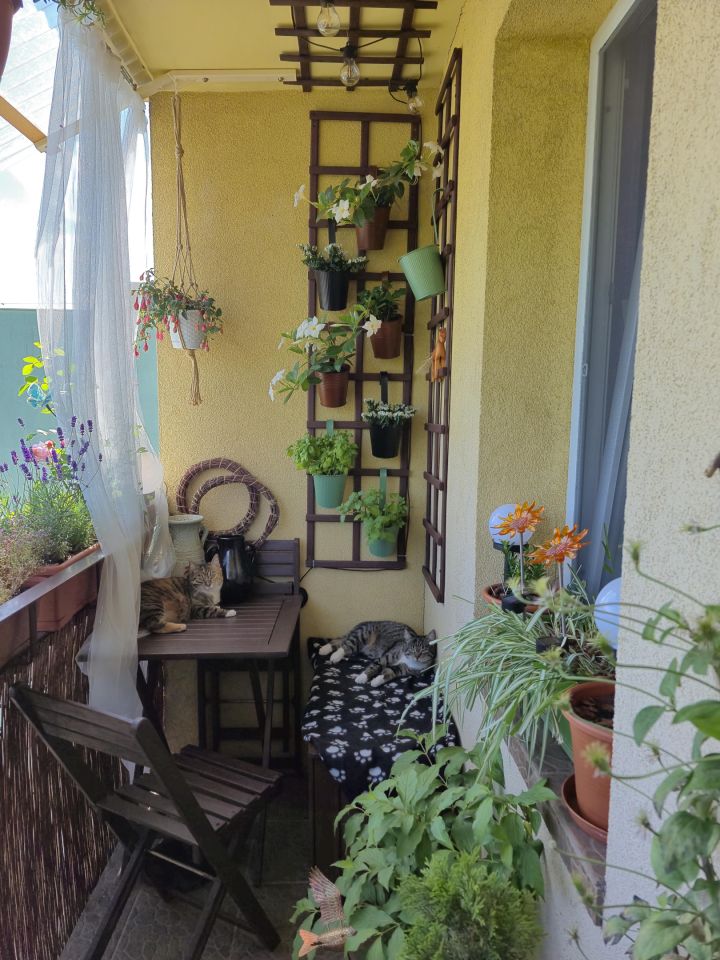 Mieszkanie 3-pokojowe Góra Kalwaria, ul. Towarowa. Zdjęcie 23