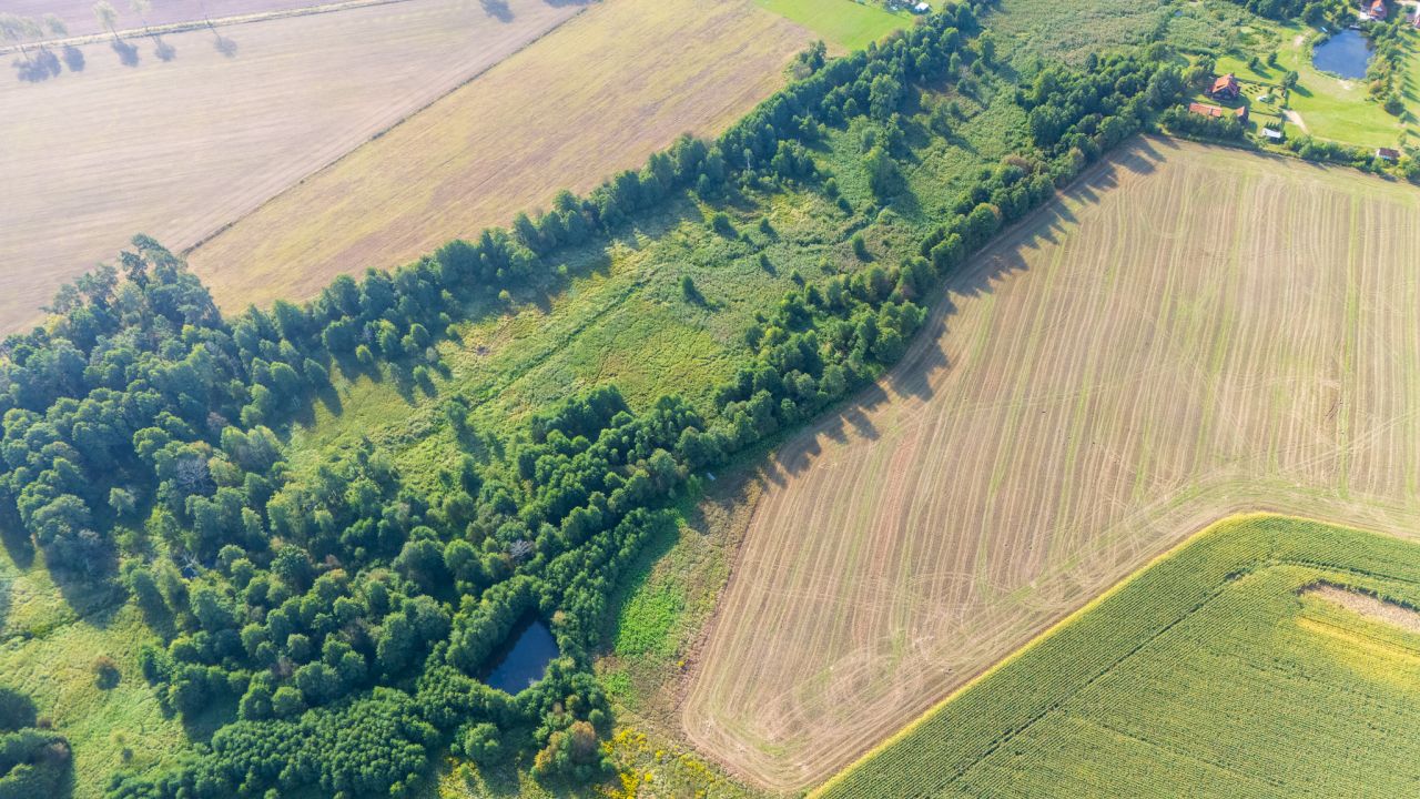 Działka rolno-budowlana Gołębiewo. Zdjęcie 5
