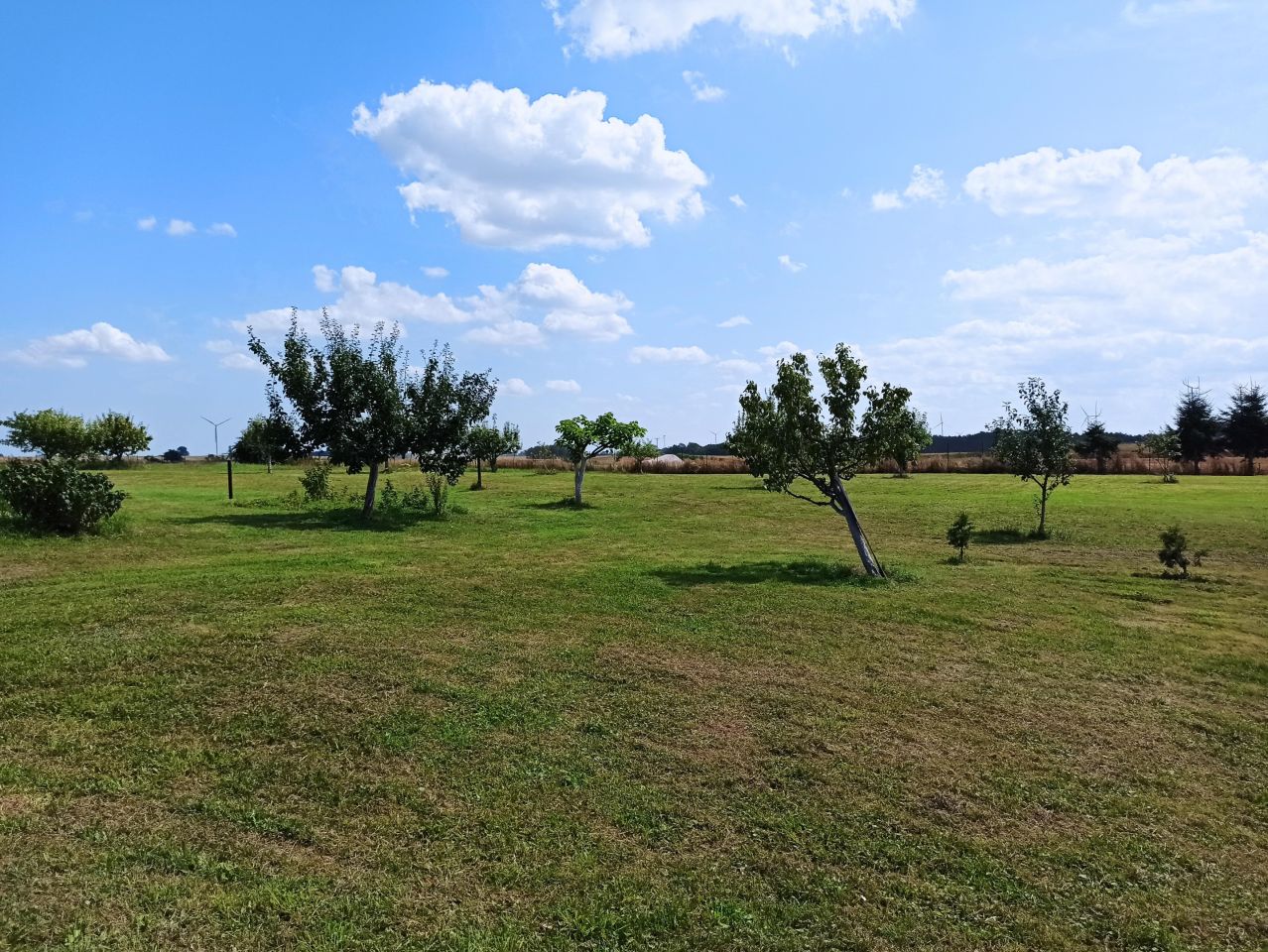 Działka rolna Czarnowo. Zdjęcie 7