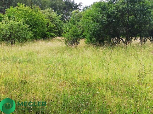 Działka budowlana Rusiec. Zdjęcie 1