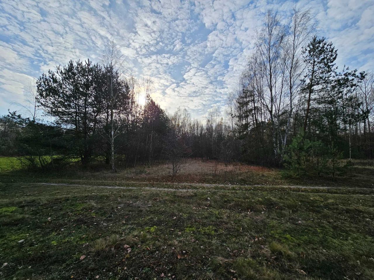 Działka rolna Ponurzyca. Zdjęcie 2