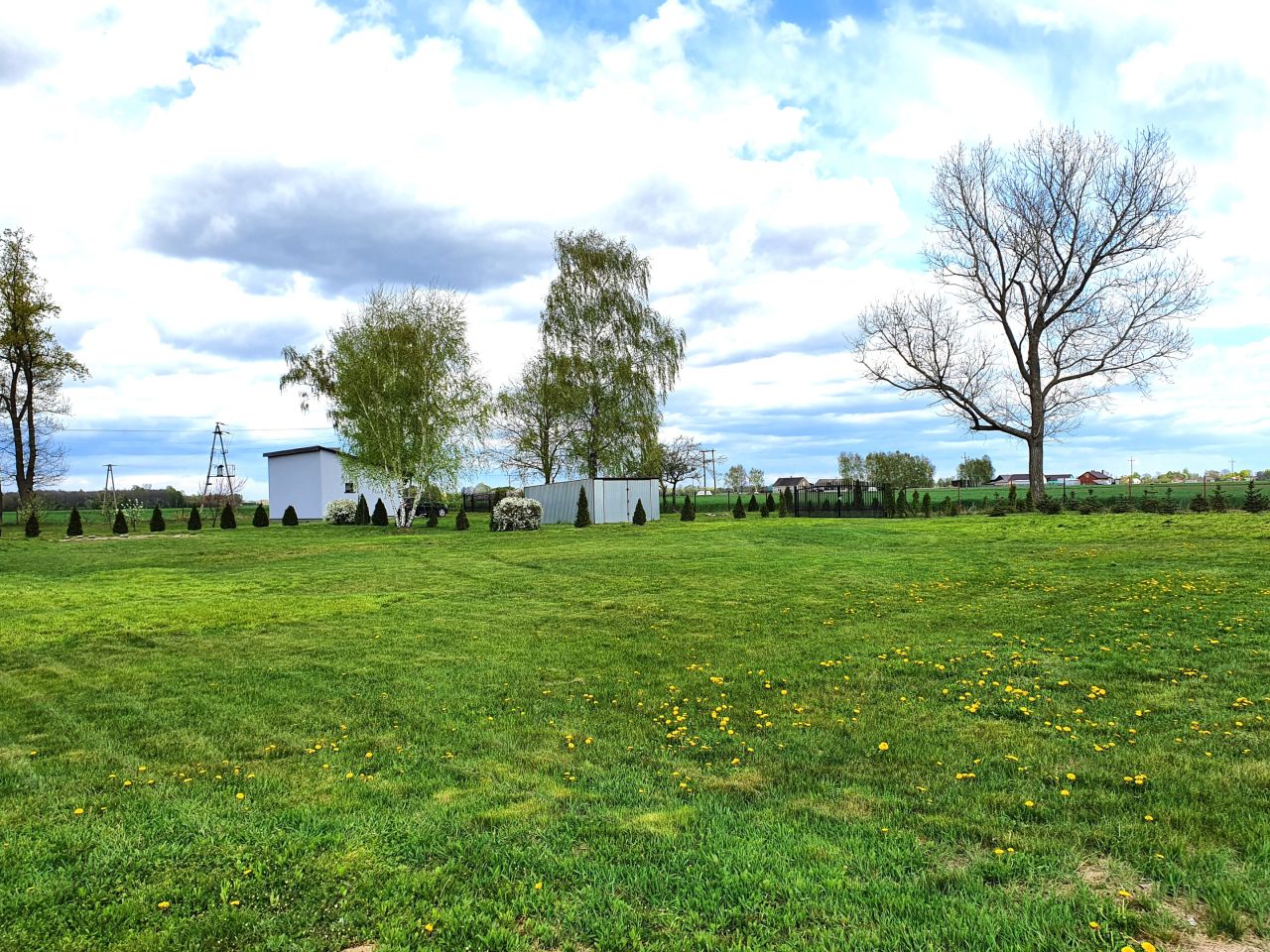 Działka siedliskowa Babiec-Wrzosy. Zdjęcie 6