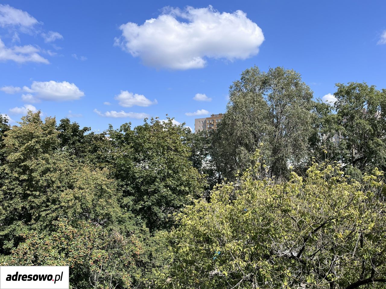 Mieszkanie 1-pokojowe Warszawa Bródno, ul. Wybrańska. Zdjęcie 12