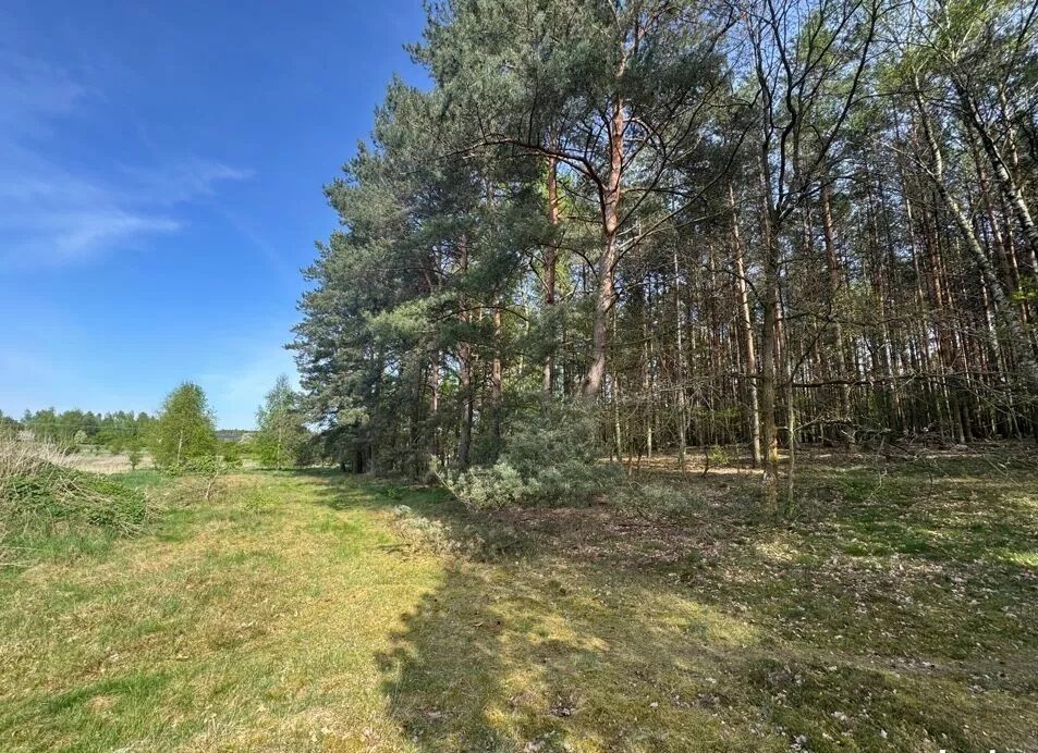 Działka budowlana Zielona Góra Racula, ul. Racula-Podleśna. Zdjęcie 2