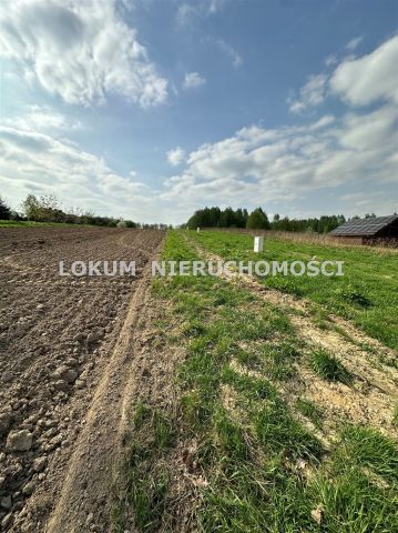 Działka budowlana Jastrzębie-Zdrój Szotkowice. Zdjęcie 4