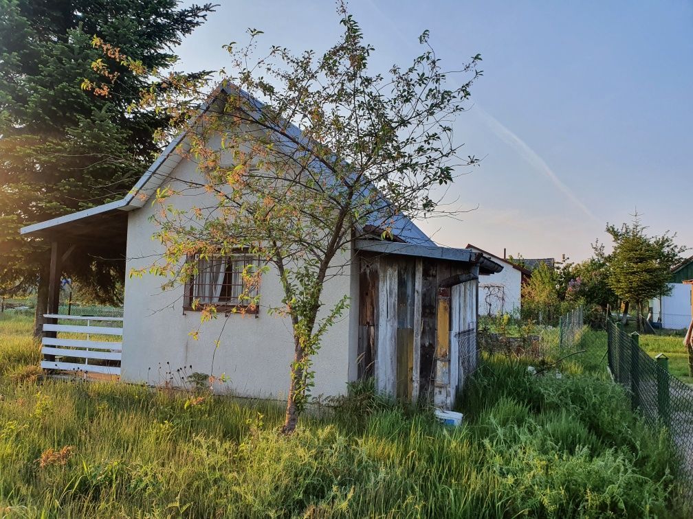 Działka rod Tarnobrzeg Mokrzyszów, ul. Glinkowa