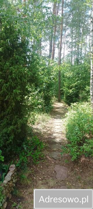 dom letniskowy, 2 pokoje Cieksyn, ul. Świerkowa. Zdjęcie 6