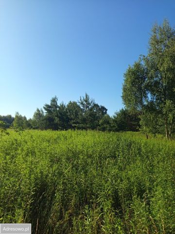 Działka rolna Stanisławów. Zdjęcie 1