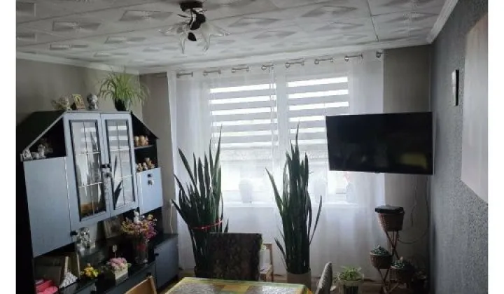 Mieszkanie 2-pokojowe Przybyszów