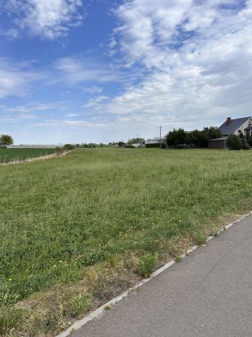Działka rolno-budowlana Kończewice. Zdjęcie 2