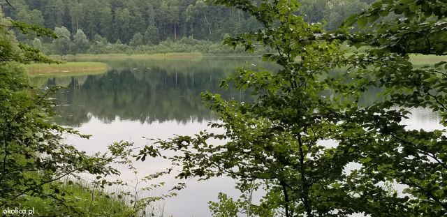 Działka rolno-budowlana Skarszewy, ul. Nad Stawem. Zdjęcie 1