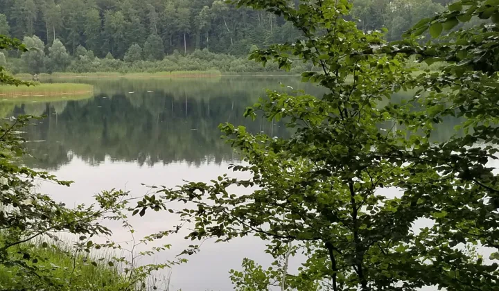 Działka rolno-budowlana Skarszewy, ul. Nad Stawem